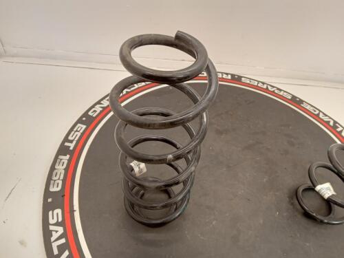 Ford Fiesta 2020 Mk8 Pair Of Rear Coil Springs - H1bc5560abb